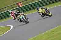 Middle Group Yellow Bikes